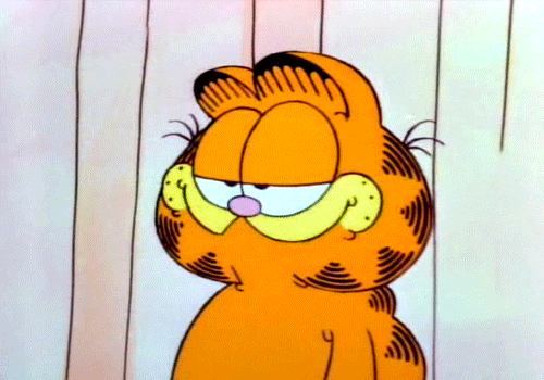 giphy-downsized (2).gif