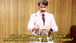 giphy-downsized.gif