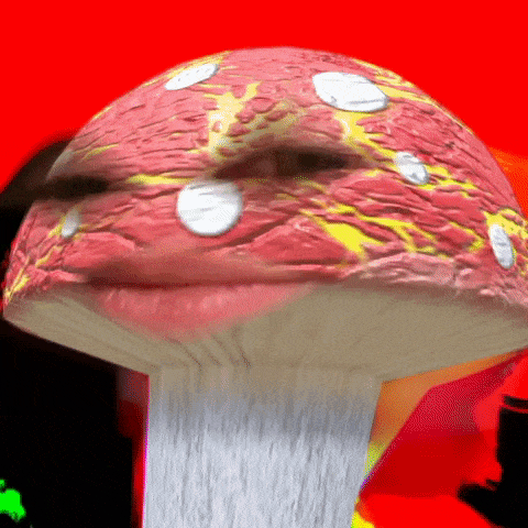 giphy-downsized-large (3).gif