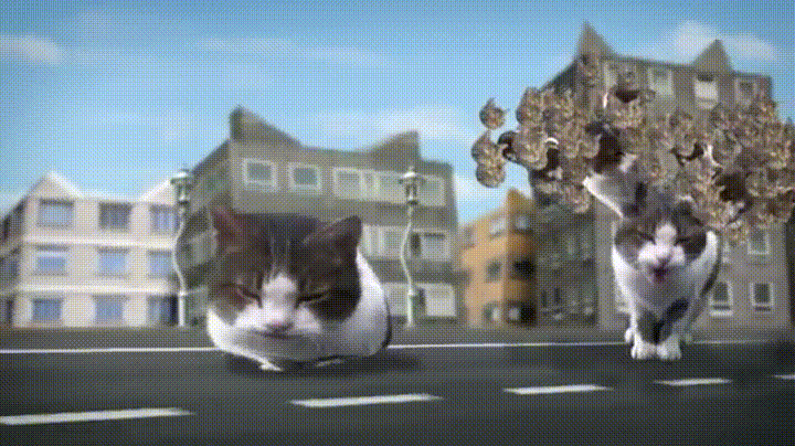 giphy.gif
