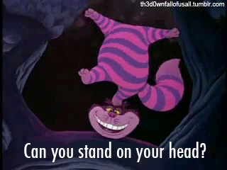 giphy.gif