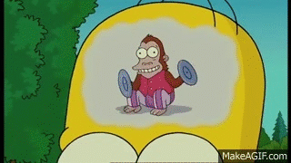 giphy.gif