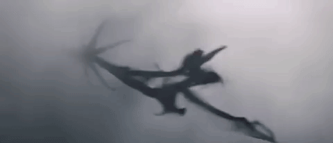 giphy.gif