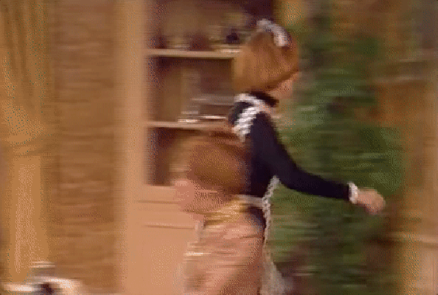 giphy.gif