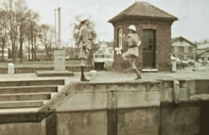 giphy.gif