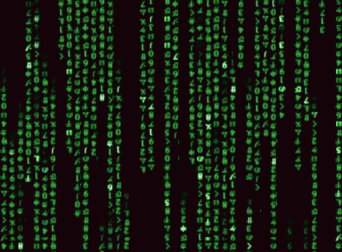 giphy.gif