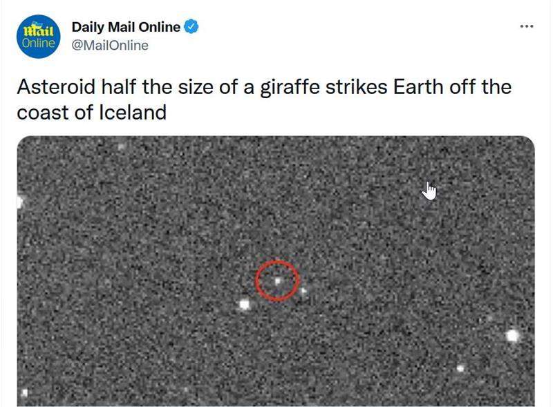 giraffe *** lol.jpg