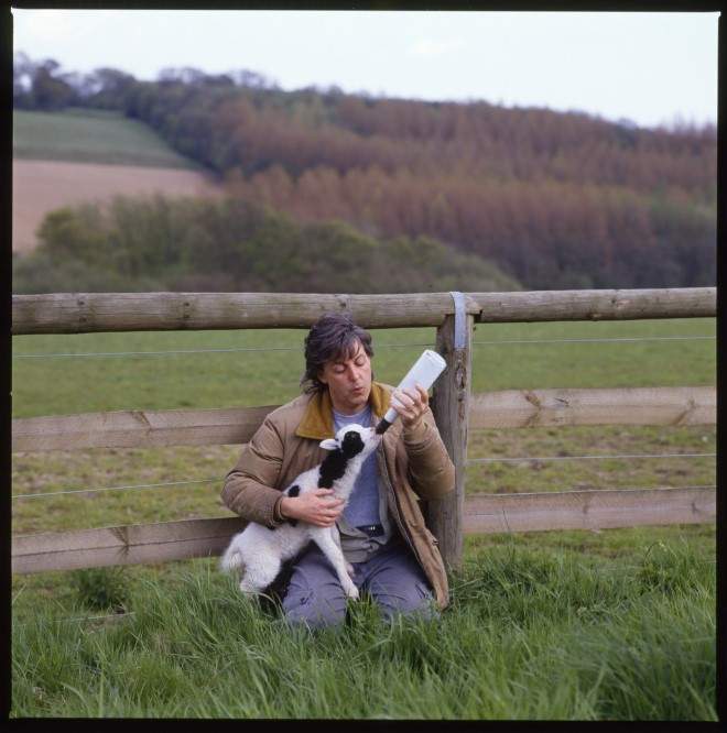 goat macca.jpg