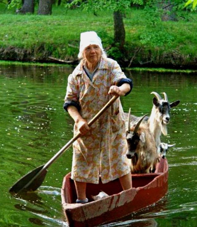 GOATBOAT2.jpg