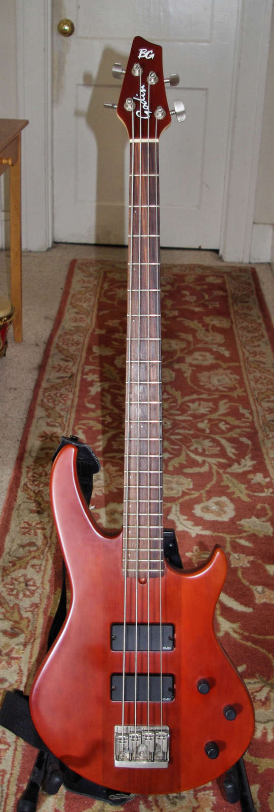 godin1.jpg