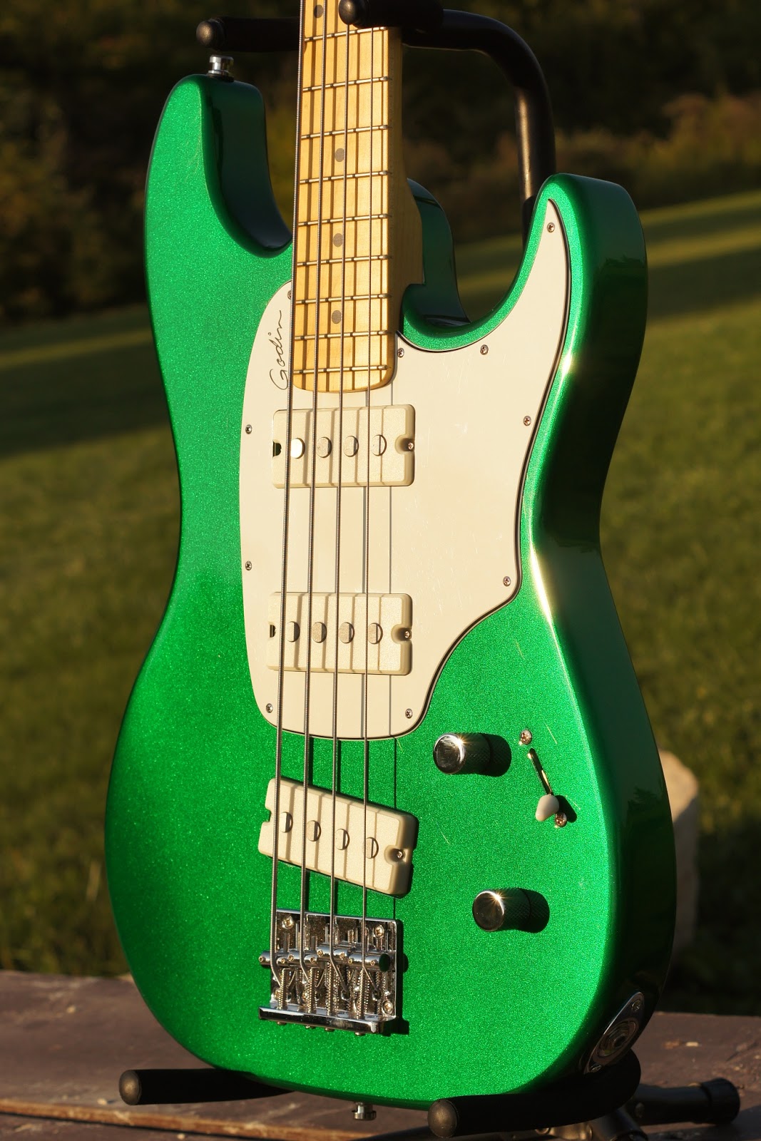 godin1.jpg