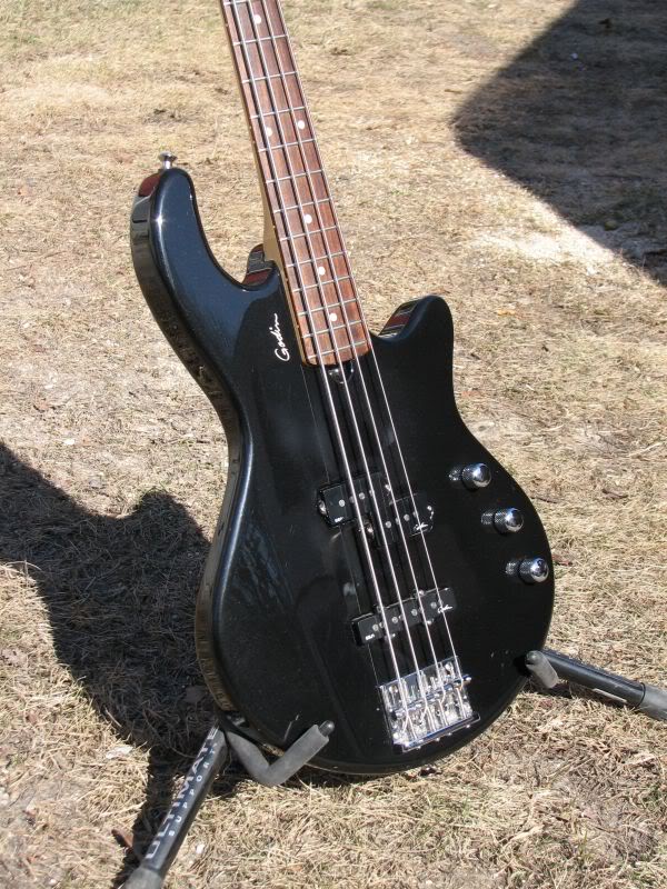 Godin3.jpg