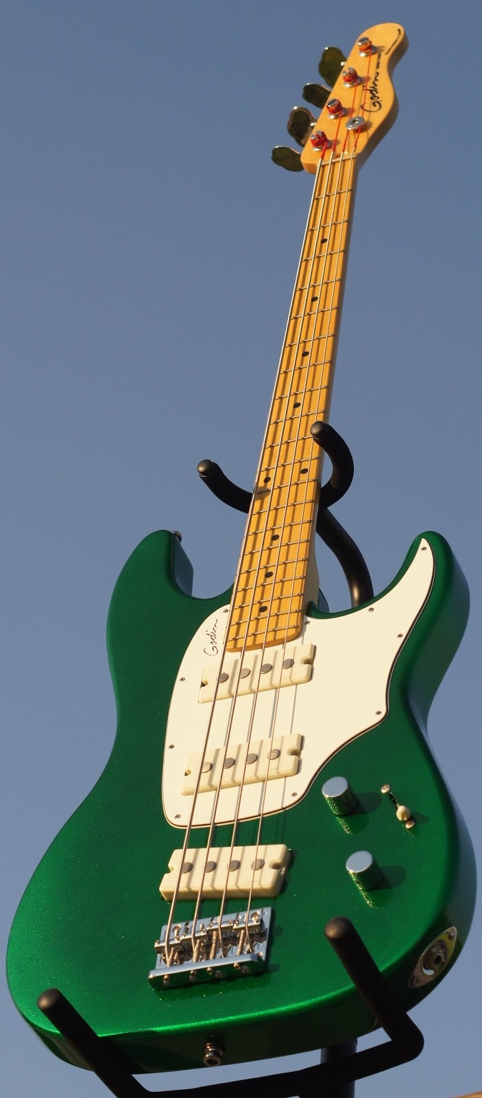 godin3.jpg
