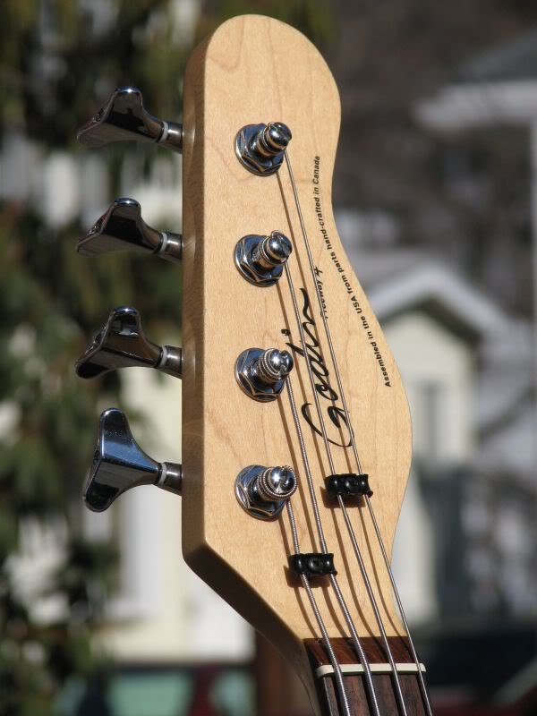Godin4.jpg