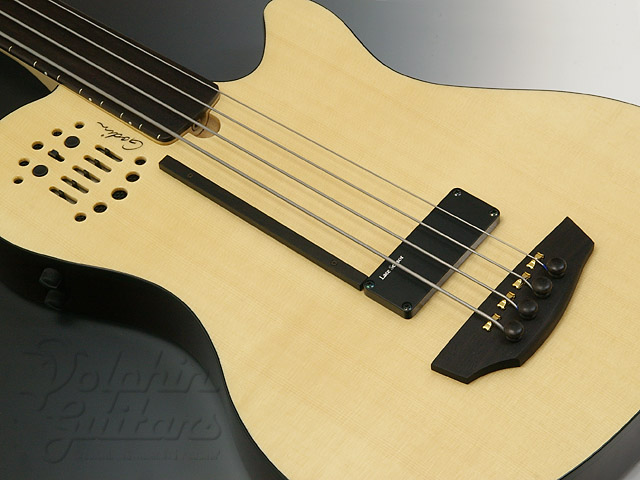 godin_a4-ultra_fretless_ss.jpg