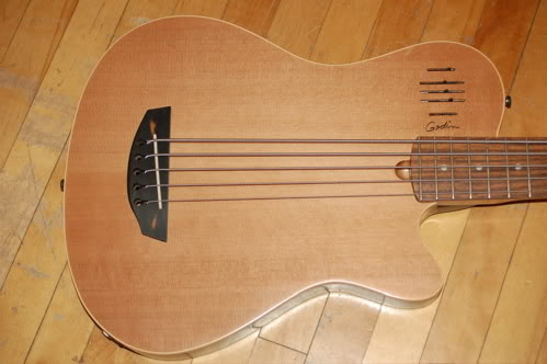 Godin_A5.jpg
