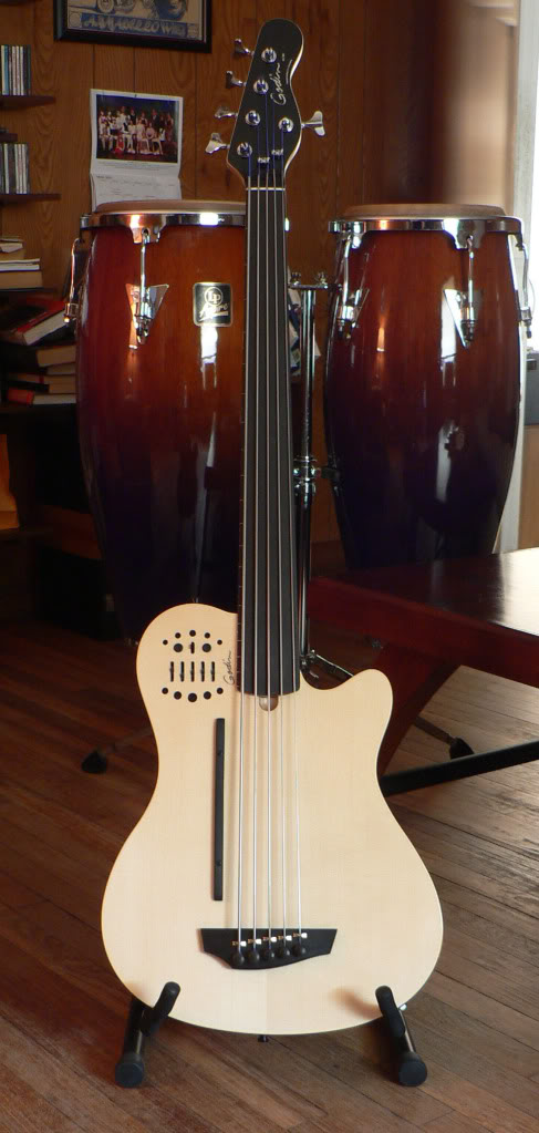GodinA5fretless.jpg
