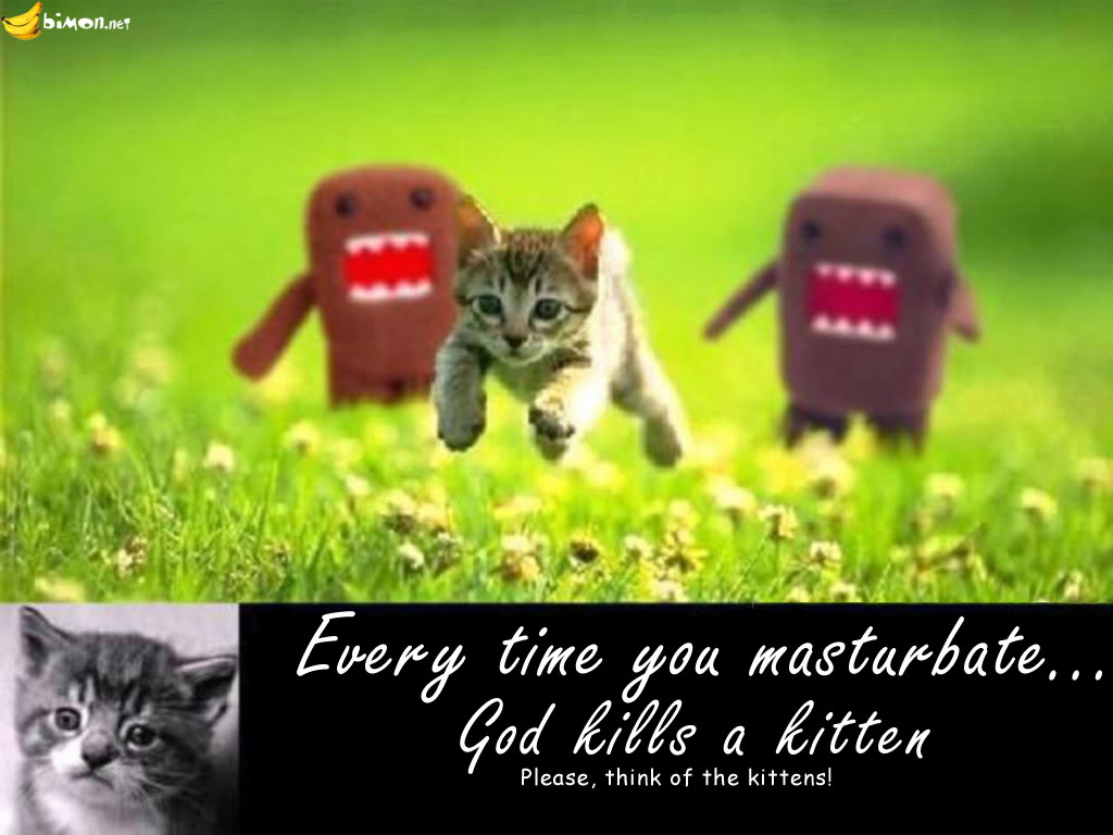 GodkillsaKitten1.jpg