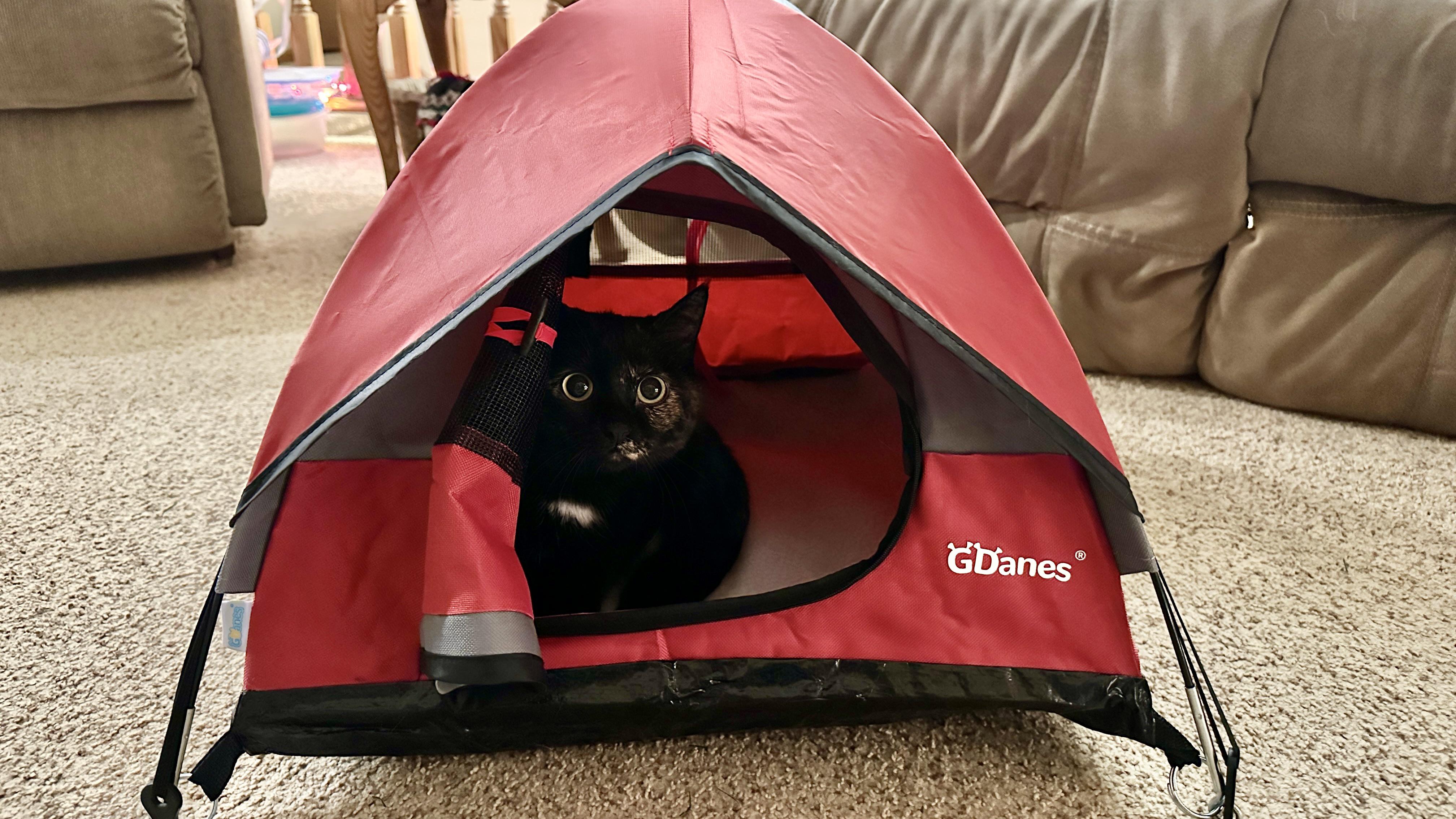 going-camping-v0-r0j8es736o6c1.jpeg