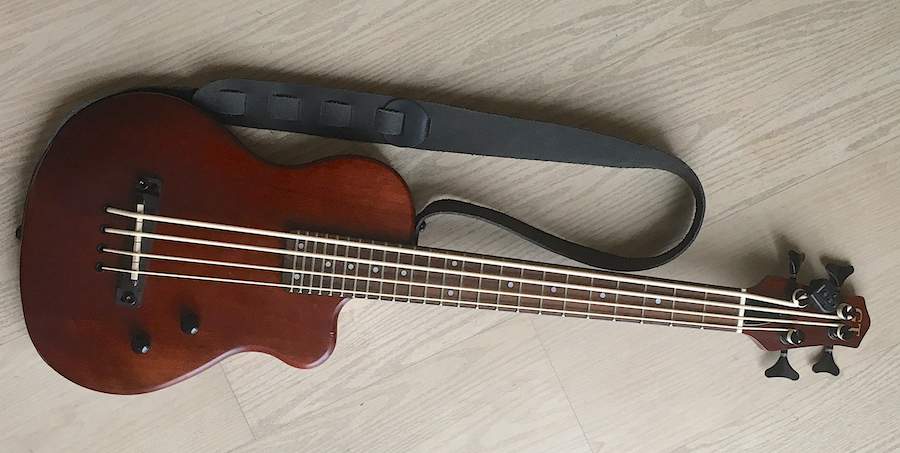 Gold Tone ME M-Bass 900.jpg