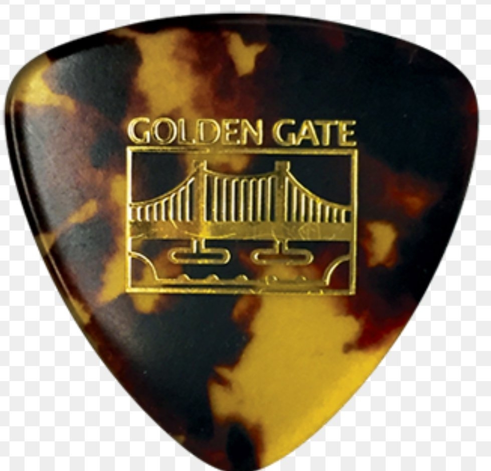 Golden Gate picks Internet.jpg