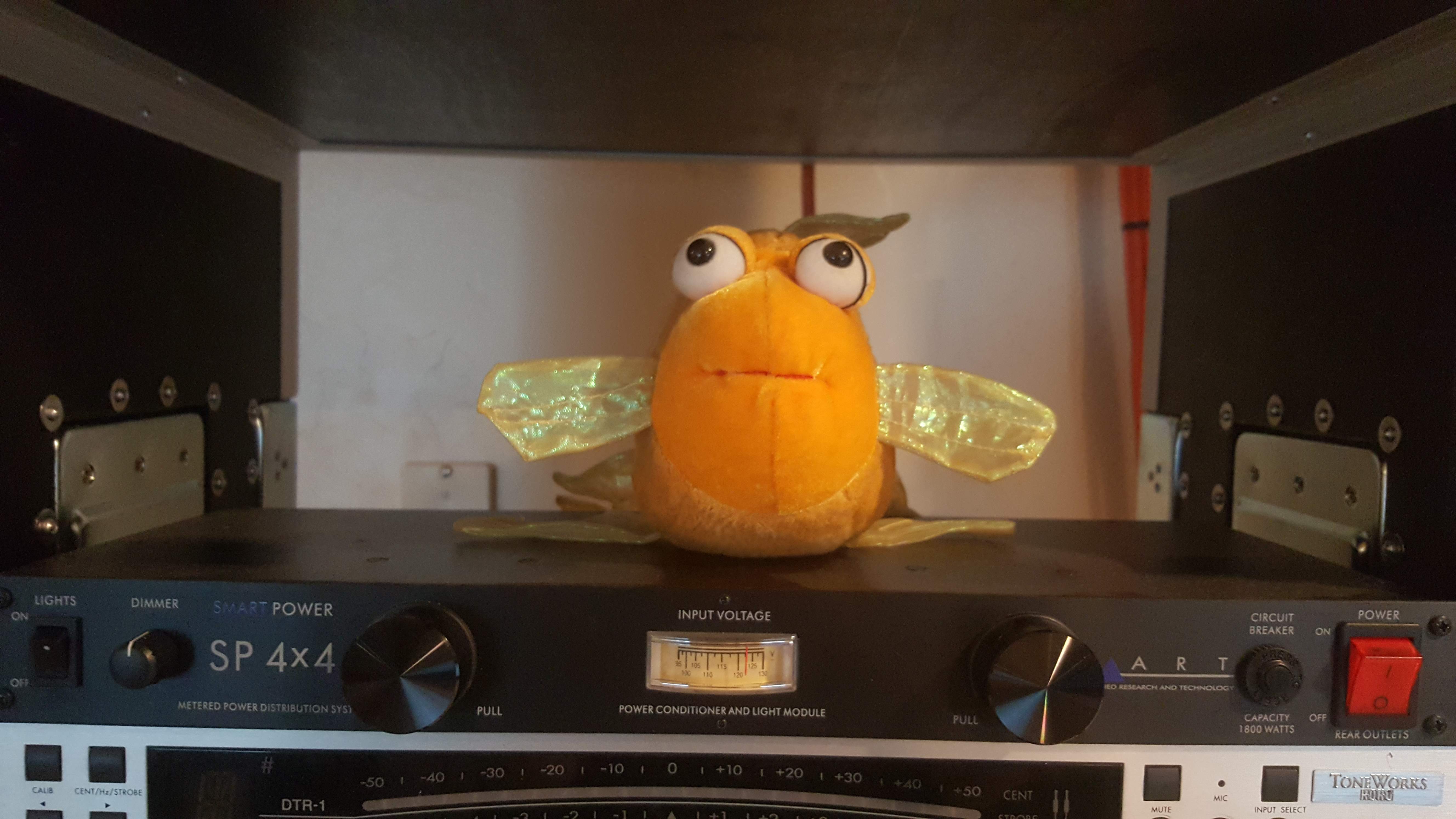 Goldfish Amp.jpg