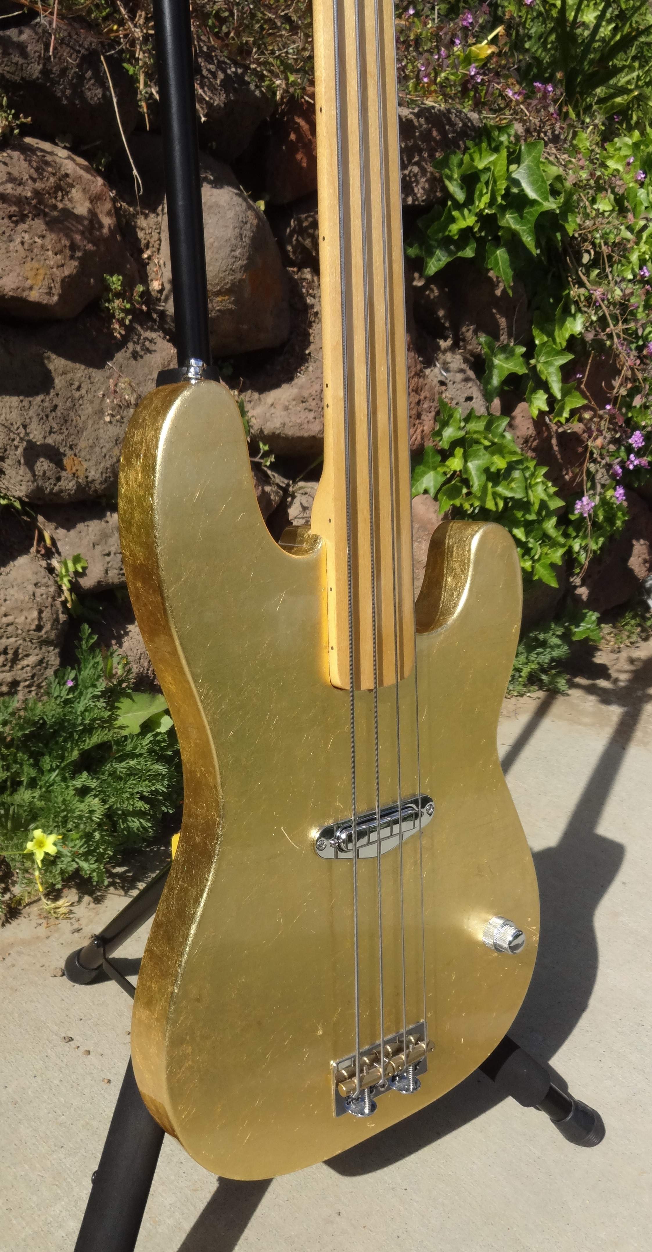 goldie 2.jpg