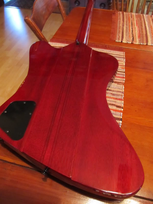 goldlpcherrybird008.jpg