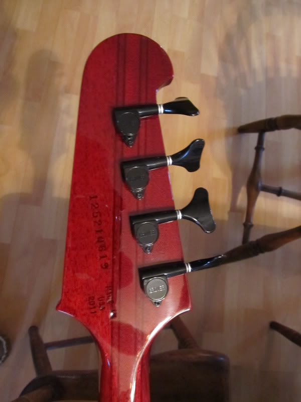goldlpcherrybird009.jpg