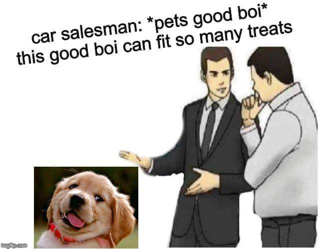 good boi.jpg