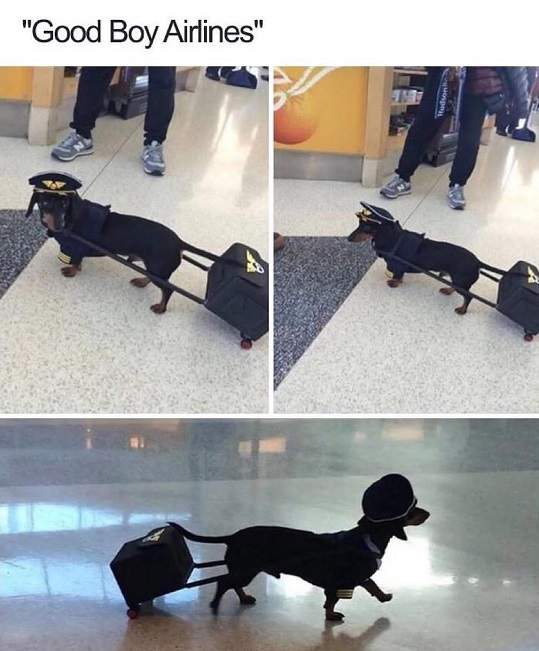 good boy air.jpg