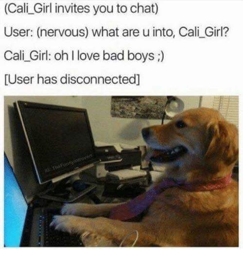 good boy disconnects.jpg