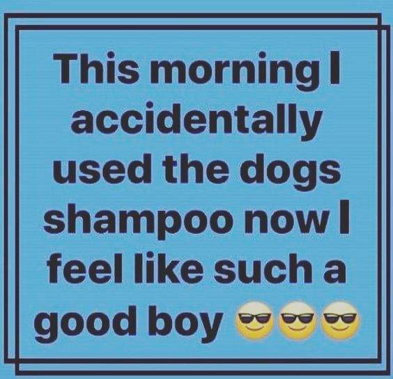 good boy.jpg