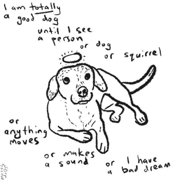 good dog.jpg