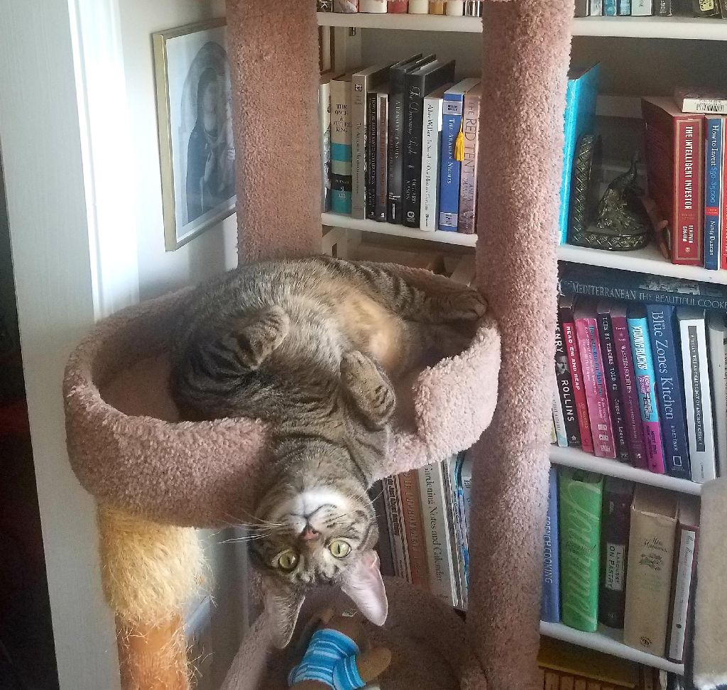 Goofball.jpg