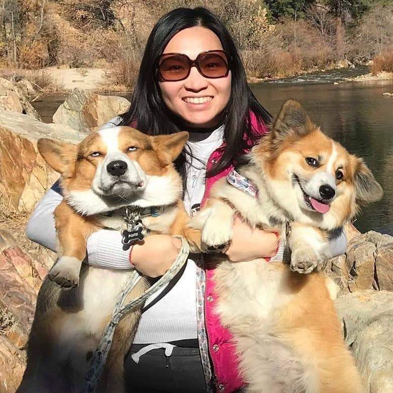goofy dogs.jpg