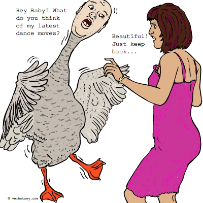 goose.gif