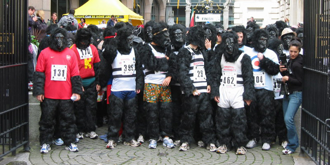 gorilla-run.jpg