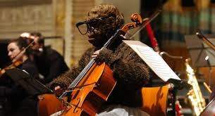 gorilla2.jpg
