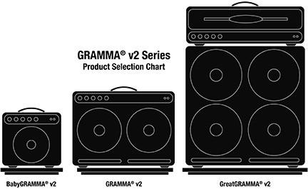 GRAMMAV2-example1_41792dcc-bdda-4e59-8a0d-02f156f30f78.jpg