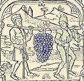 Grapes2.jpg