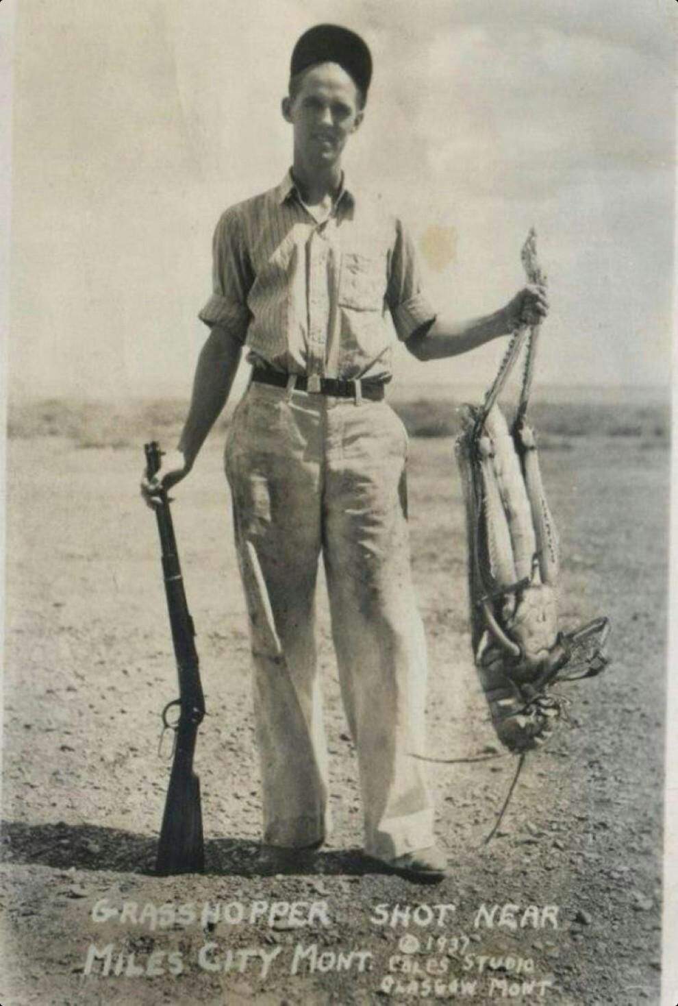 grasshopper.jpeg