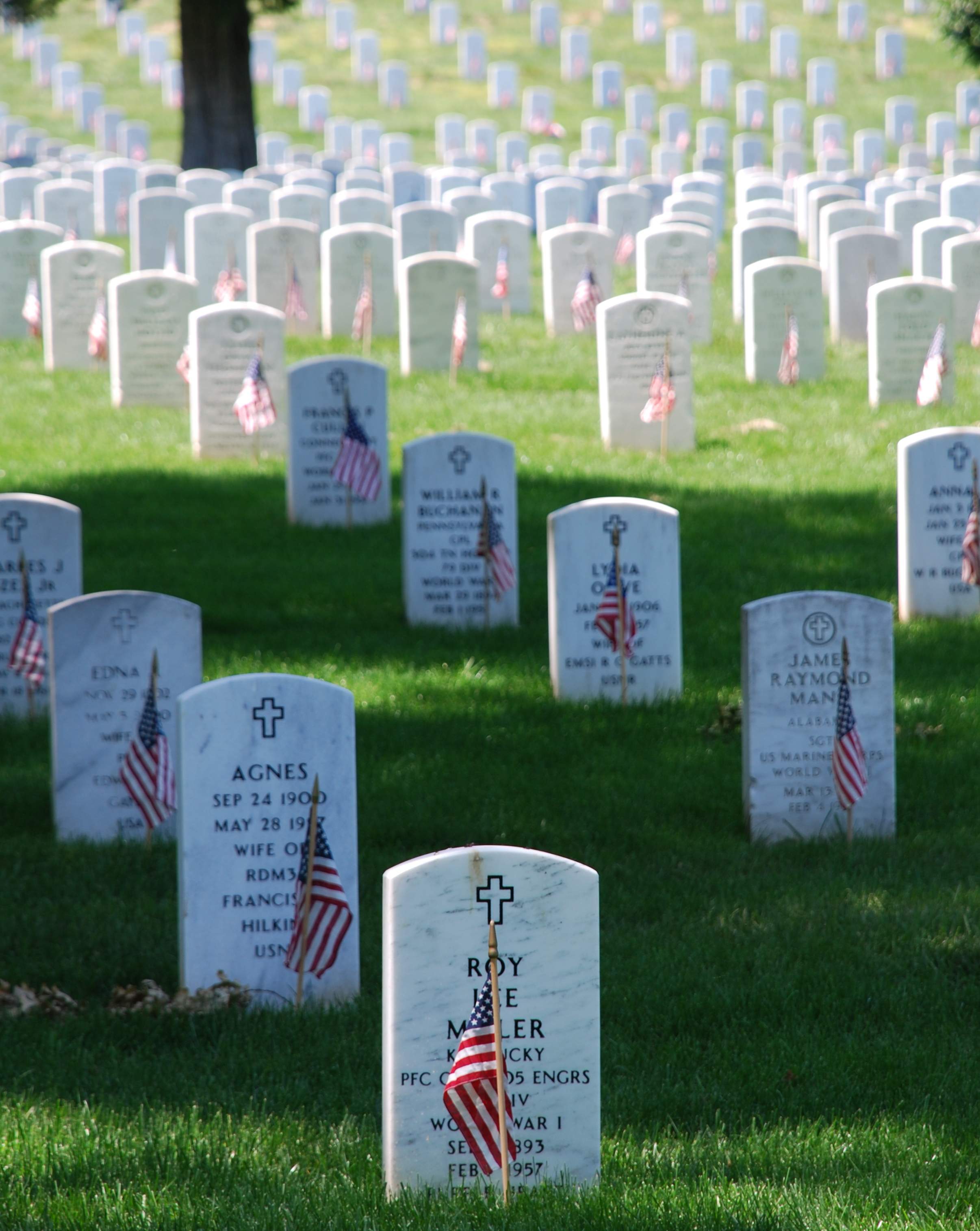 Graves_at_Arlington_on_Memorial_Day.jpeg