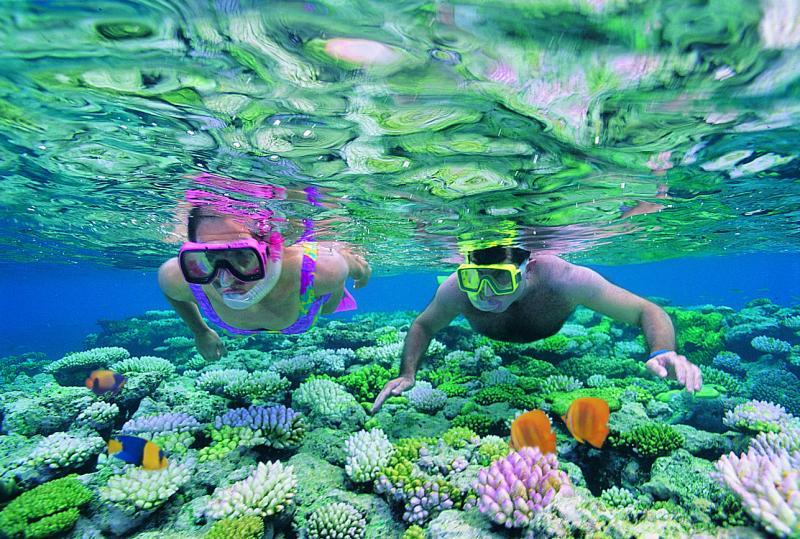 Great-Barrier-Reef-Tours-2.jpg