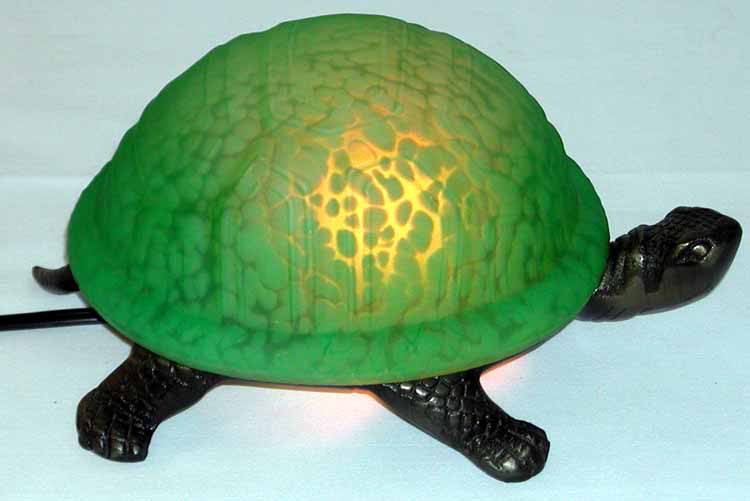 green20turtle-5.jpg