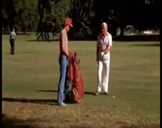 GregariousIdenticalKite-max-14mb.gif