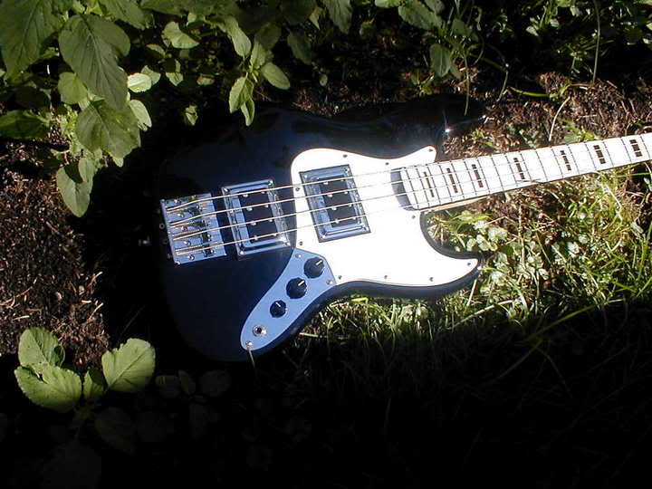Gregsbass2.jpg