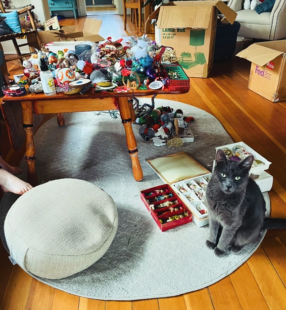 grey cat table.jpg