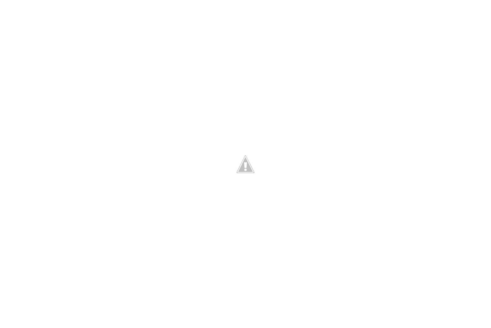 Grotte%2BWaittomo.png