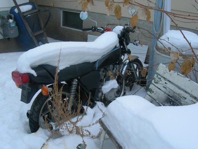 GS425snow.jpg